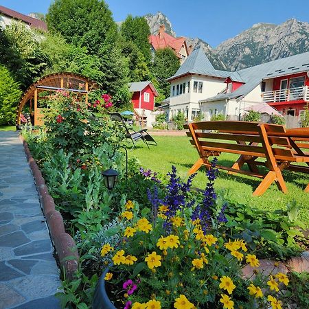 Casa Turta Dulce Hotell Buşteni Eksteriør bilde