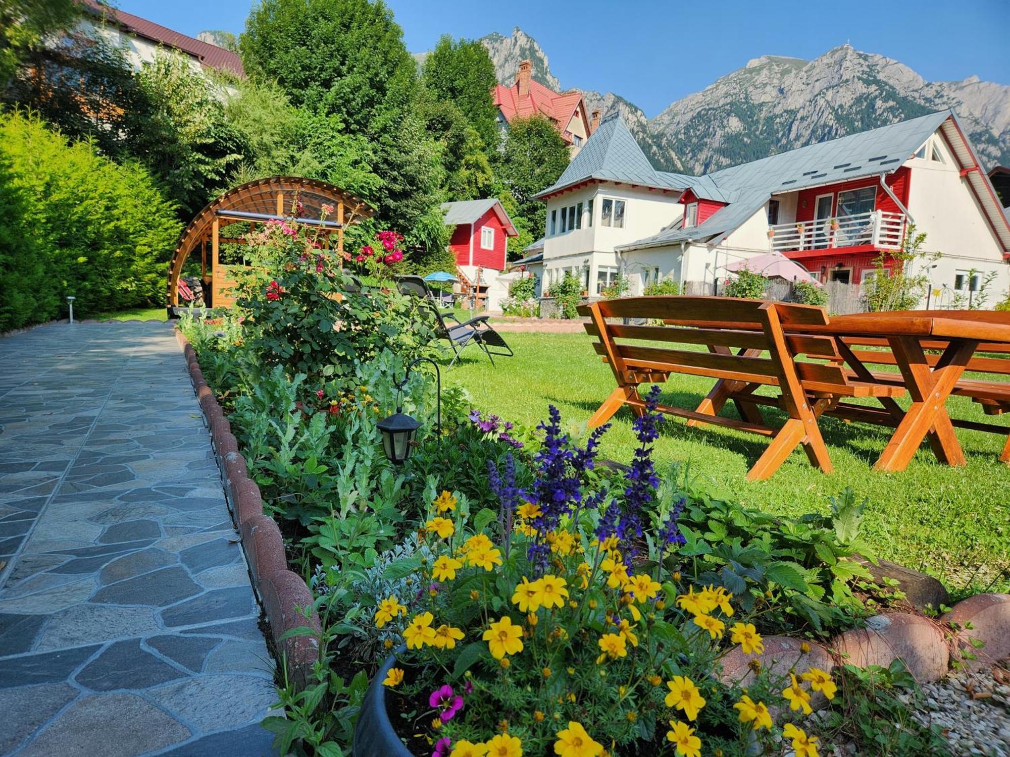 Casa Turta Dulce Hotell Buşteni Eksteriør bilde
